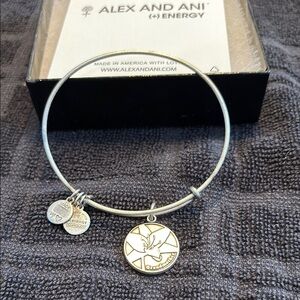 Alex and Ani Silver Grandmother Charm Bracelet